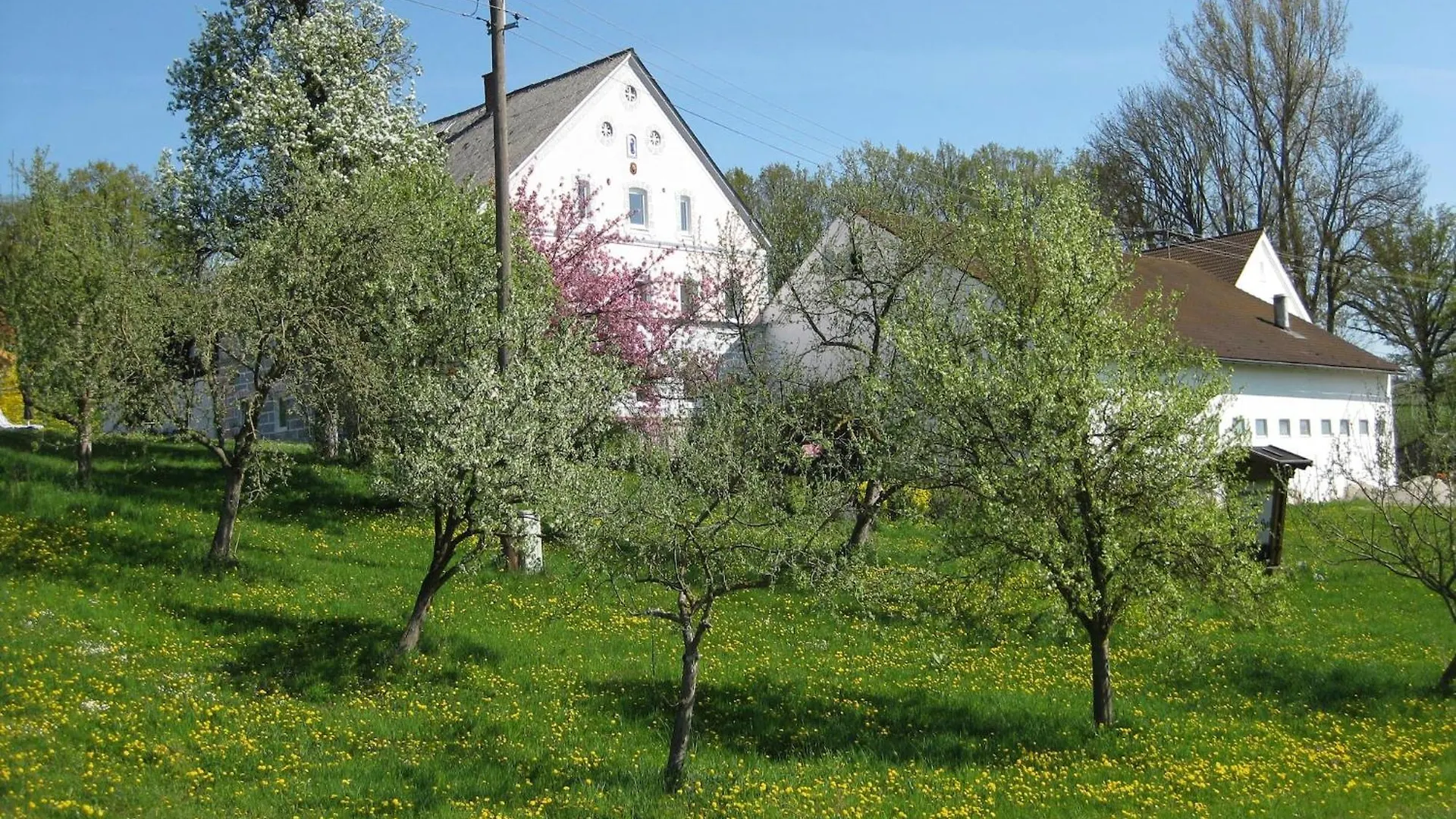 Beautiful Apartment In Rotthalmuenster With Garden Andriching