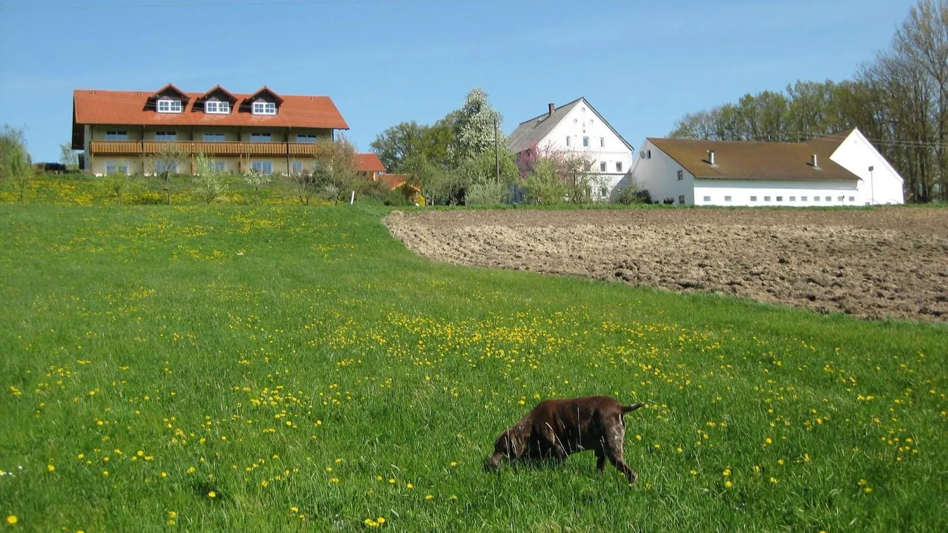 Beautiful Apartment In Rotthalmuenster With Garden